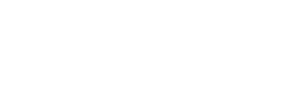Womanizer Premium Eco logo